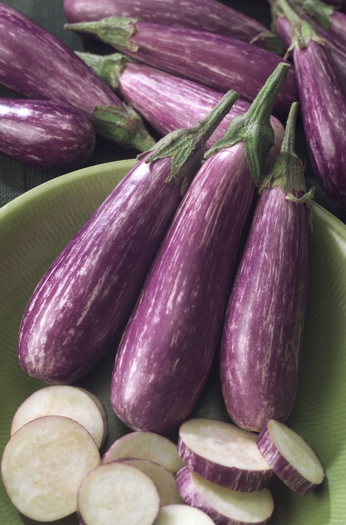 Eggplant - Solanum melongena 'Fairy Tale'