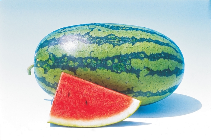 Watermelon - Citrullus lanatus 'Sweet Beauty'